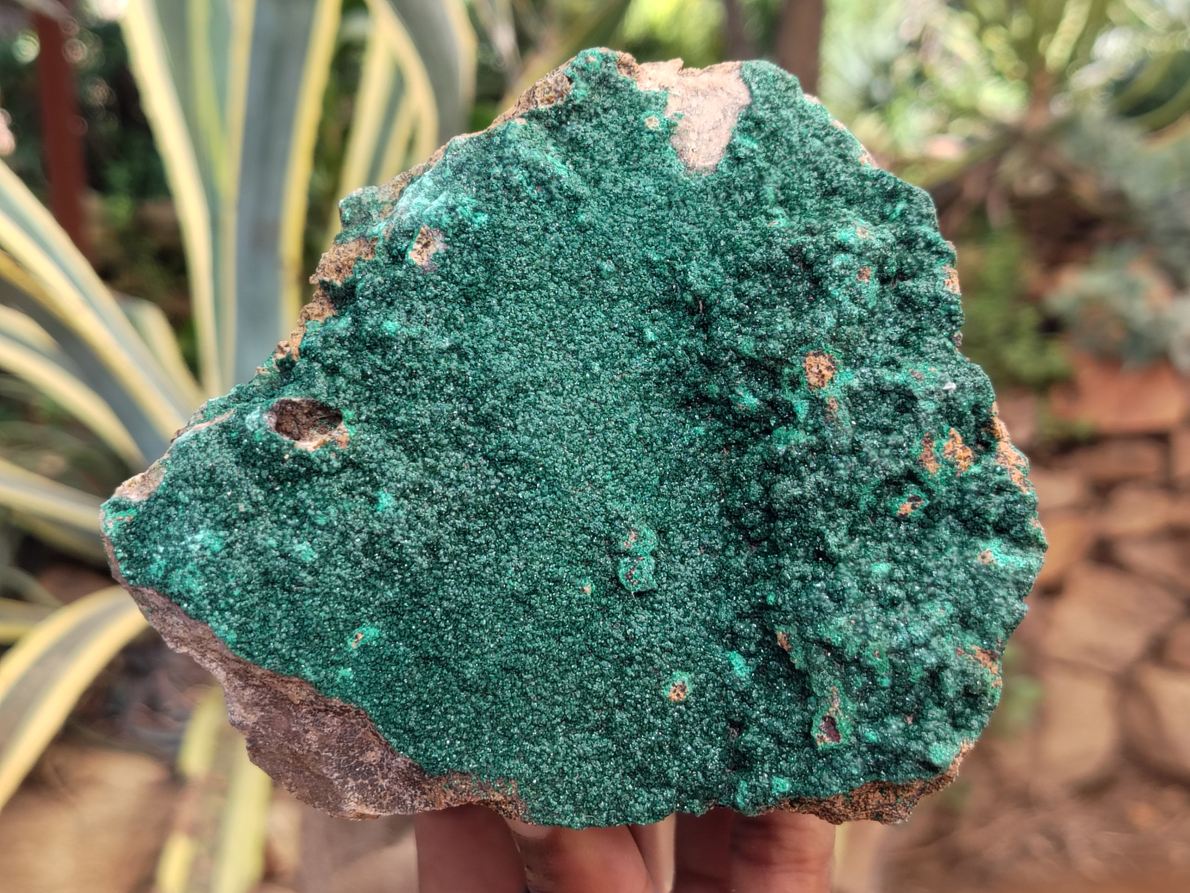 Natural Crystalline and Botryoidal  Malachite Specimens x 3 From Tenke Fungurume, Congo - Toprock Gemstones and Minerals 