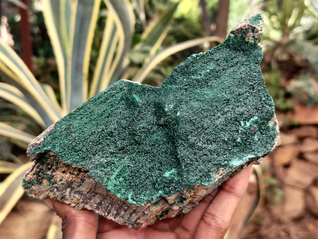 Natural Crystalline and Botryoidal  Malachite Specimens x 3 From Tenke Fungurume, Congo - Toprock Gemstones and Minerals 