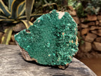 Natural Crystalline and Botryoidal  Malachite Specimens x 3 From Tenke Fungurume, Congo - Toprock Gemstones and Minerals 