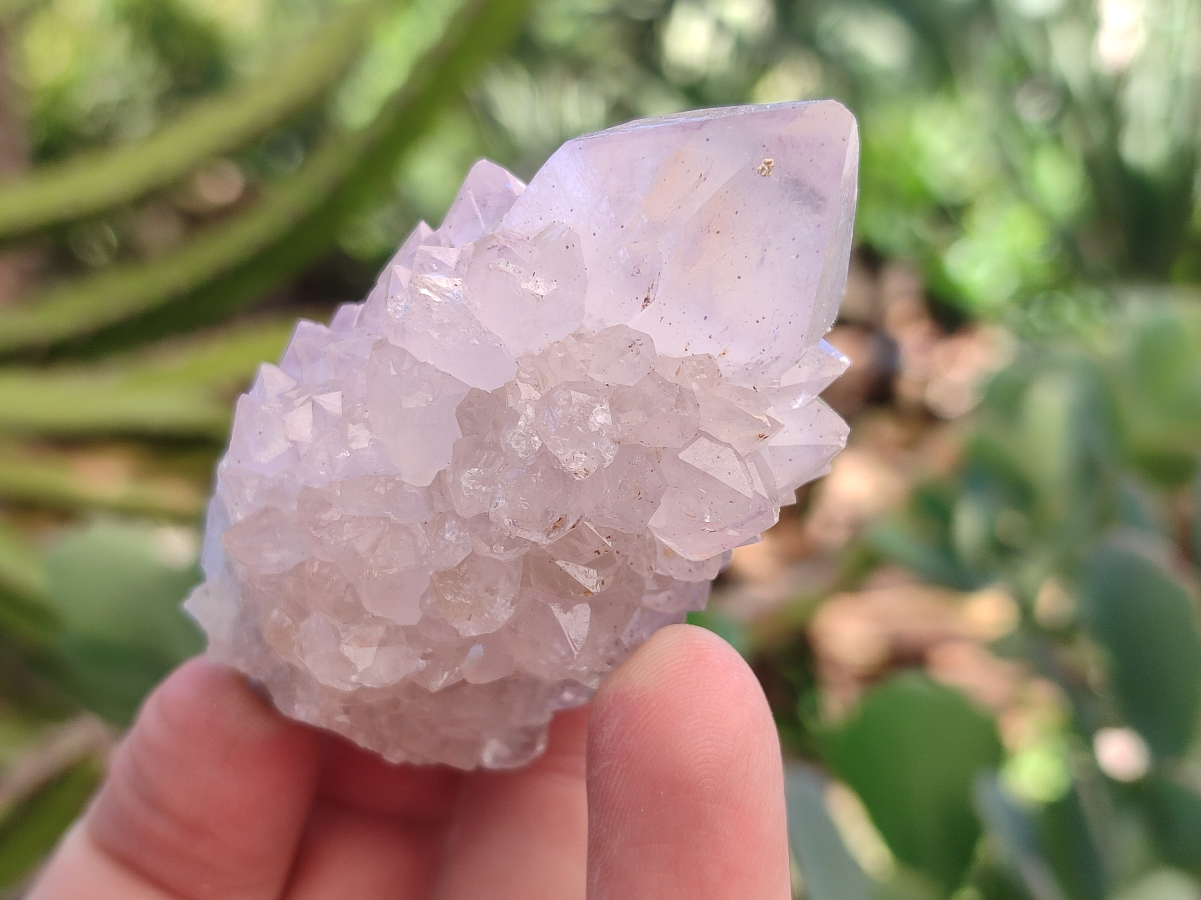 Natural Amethyst Spirit Quartz Clusters x 12 From Boekenhouthoek, South Africa - Toprock Gemstones and Minerals 