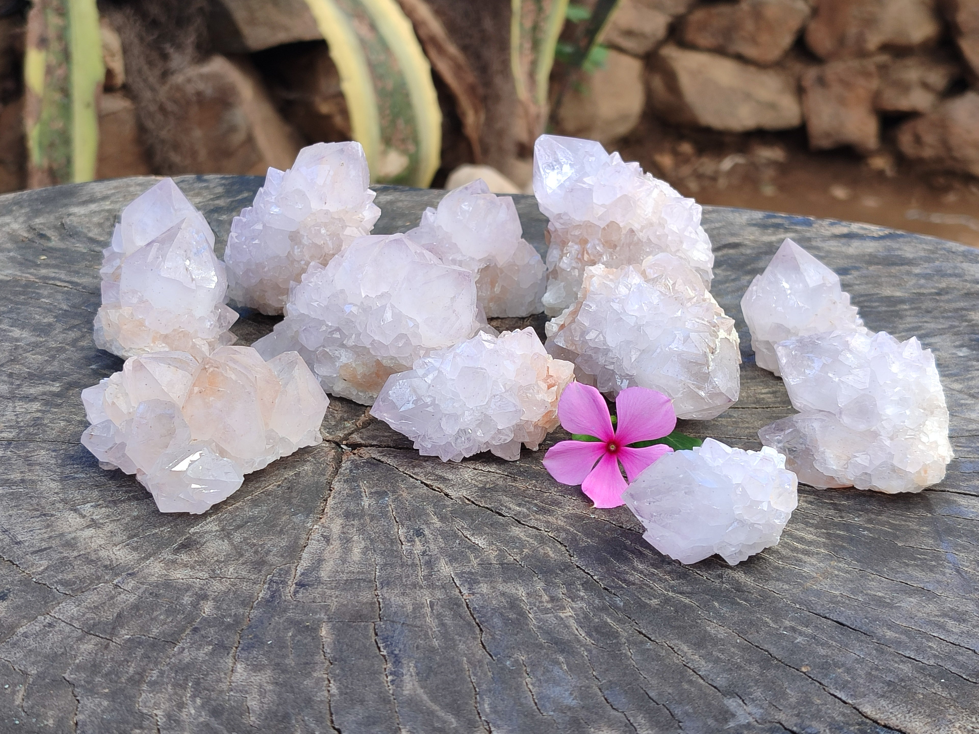 Natural Amethyst Spirit Quartz Clusters x 12 From Boekenhouthoek, South Africa - Toprock Gemstones and Minerals 