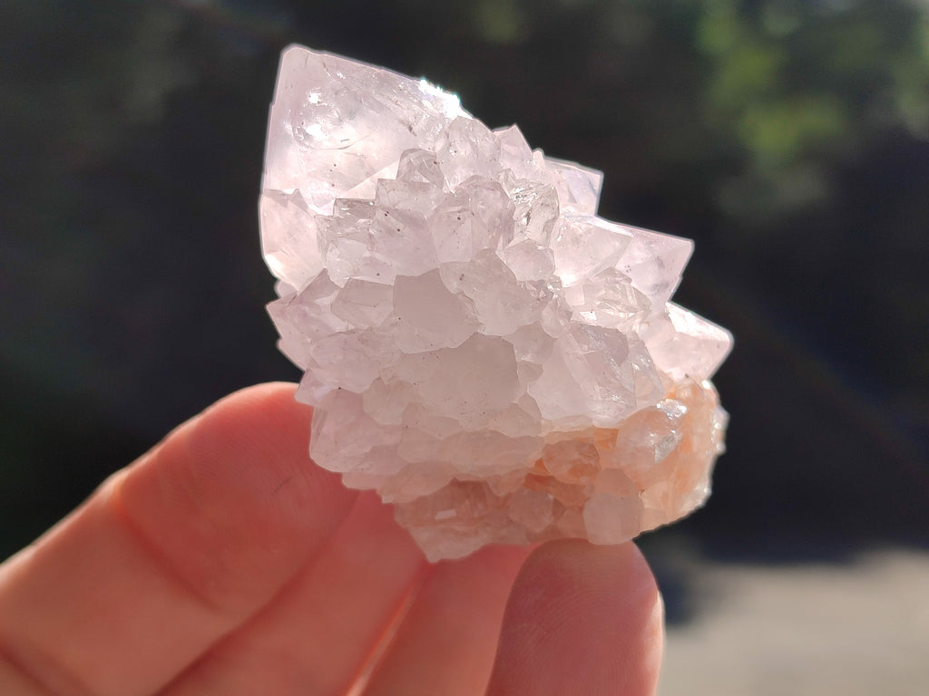 Natural Amethyst Spirit Quartz Clusters x 12 From Boekenhouthoek, South Africa - Toprock Gemstones and Minerals 