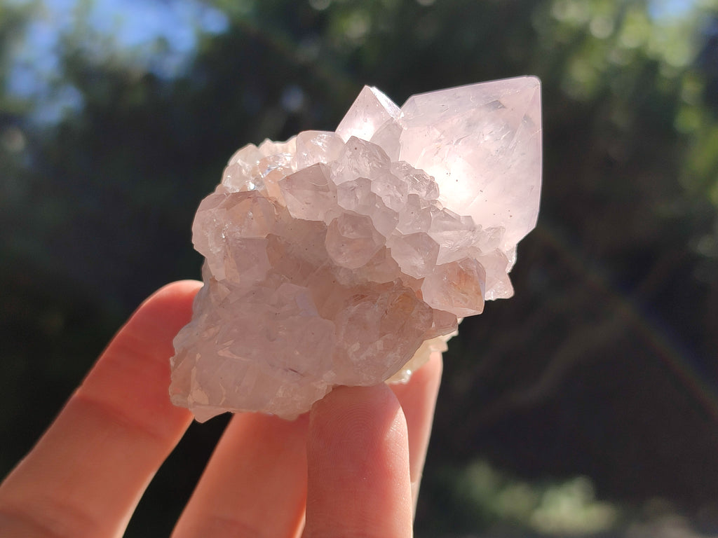 Natural Amethyst Spirit Quartz Clusters x 12 From Boekenhouthoek, South Africa - Toprock Gemstones and Minerals 