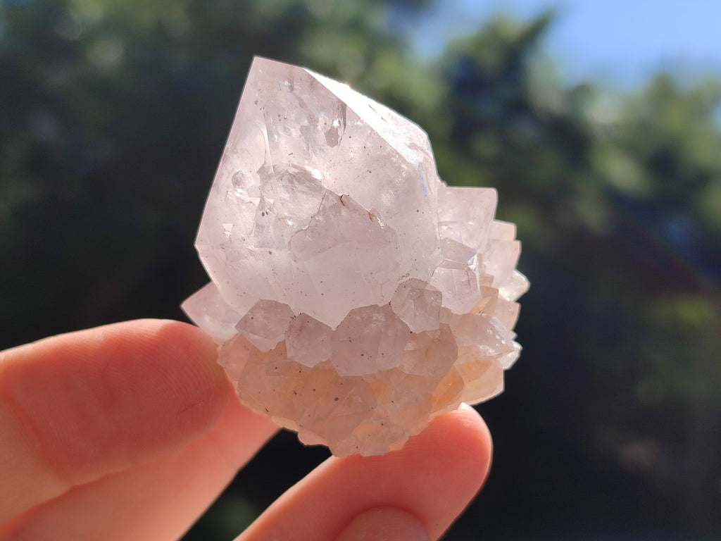 Natural Amethyst Spirit Quartz Clusters x 12 From Boekenhouthoek, South Africa - Toprock Gemstones and Minerals 