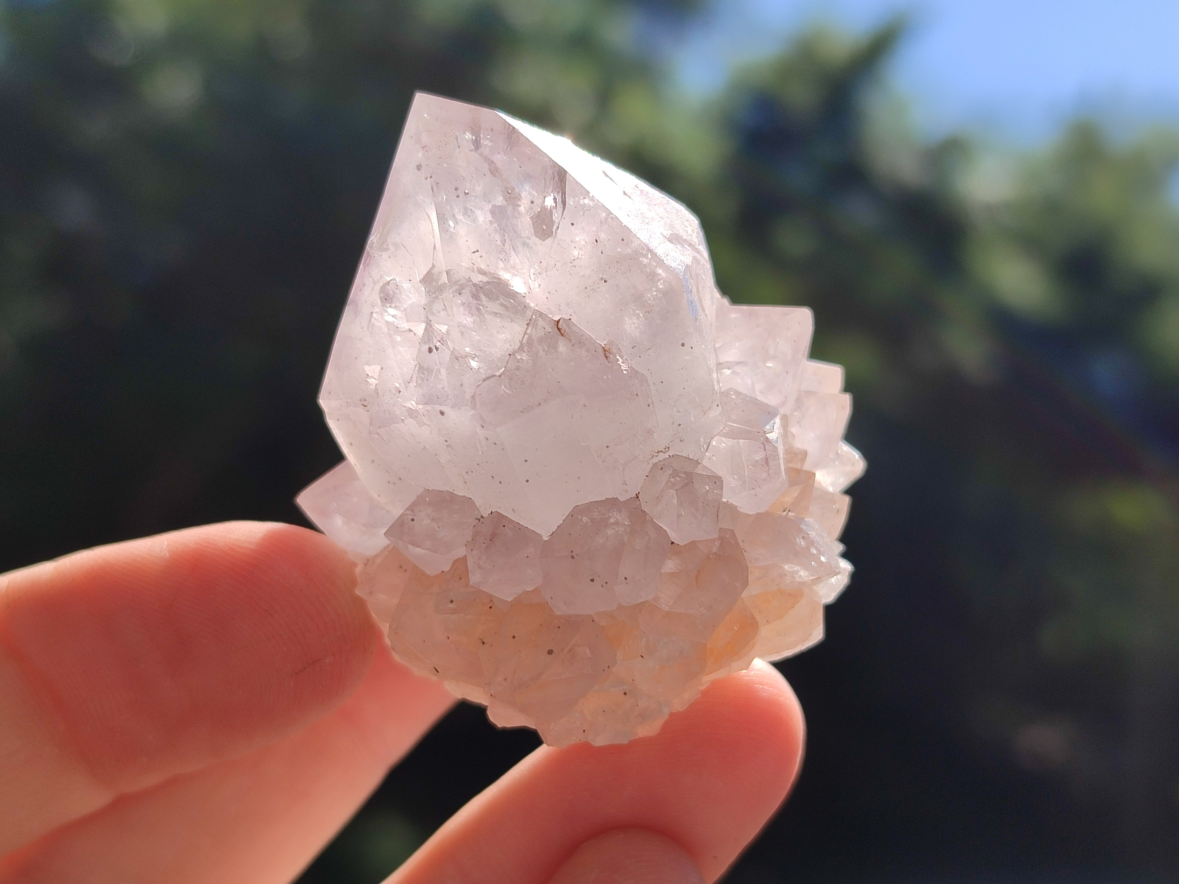 Natural Amethyst Spirit Quartz Clusters x 12 From Boekenhouthoek, South Africa - Toprock Gemstones and Minerals 