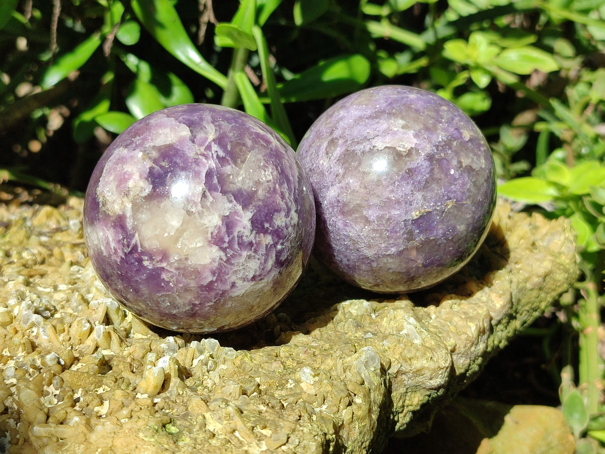 Polished Lepidolite with Pink Rubellite Spheres x 6 From Ambatondrazaka, Madagascar - Toprock Gemstones and Minerals 