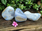 Polished Blue Lace Agate Geodes x 3 From Nsanje, Malawi - Toprock Gemstones and Minerals 
