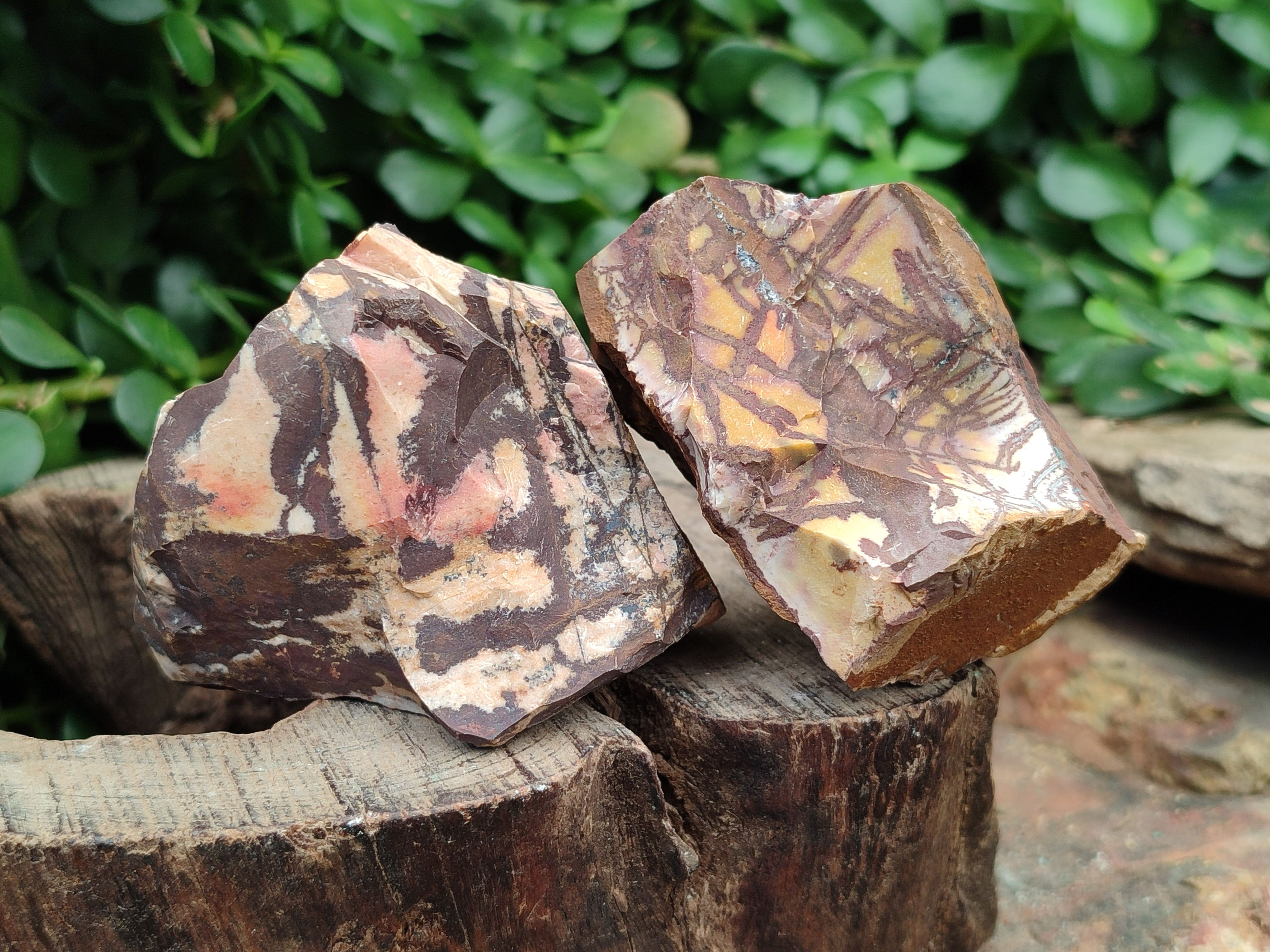 Natural Nguni Jasper Cobbed Specimens x 12 From Prieska, South Africa - Toprock Gemstones and Minerals 