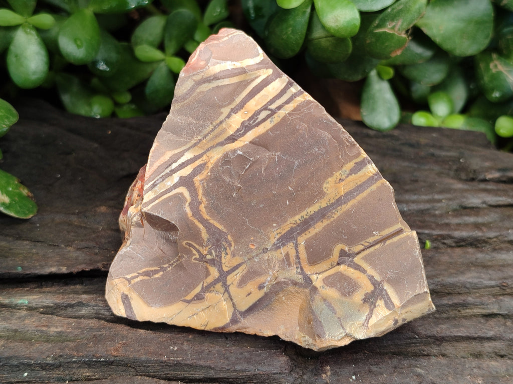 Natural Nguni Jasper Cobbed Specimens x 12 From Prieska, South Africa - Toprock Gemstones and Minerals 