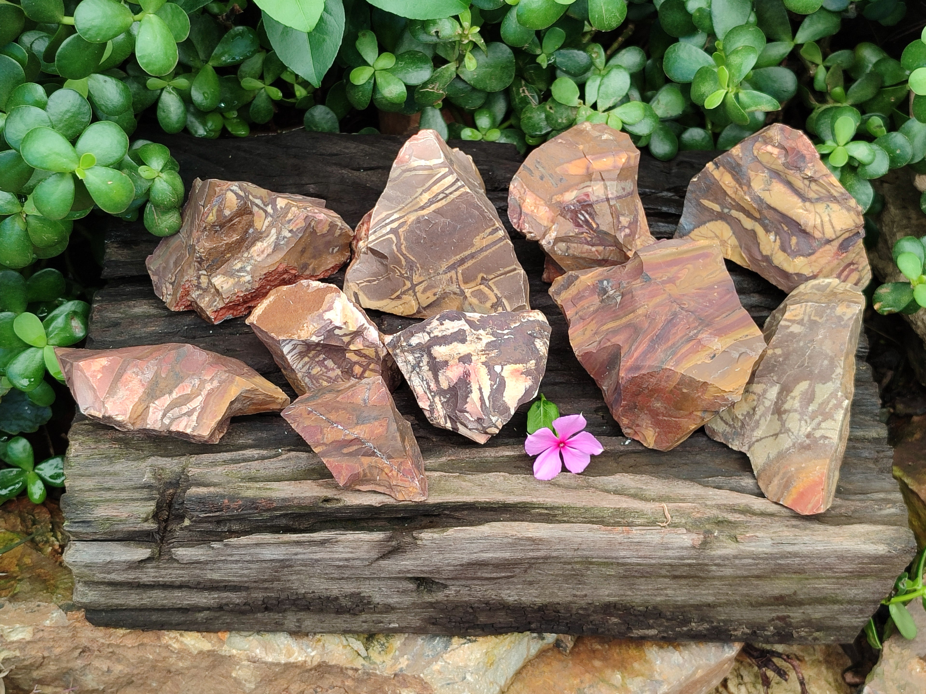 Natural Nguni Jasper Cobbed Specimens x 12 From Prieska, South Africa - Toprock Gemstones and Minerals 