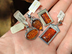 Polished Mixed Baltic Amber Pendants on Sterling Silver x 4 From Poland - Toprock Gemstones and Minerals 