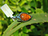 Polished Mixed Baltic Amber Pendants on Sterling Silver x 4 From Poland