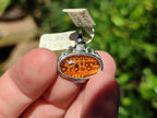 Polished Mixed Baltic Amber Pendants on Sterling Silver x 4 From Poland - Toprock Gemstones and Minerals 