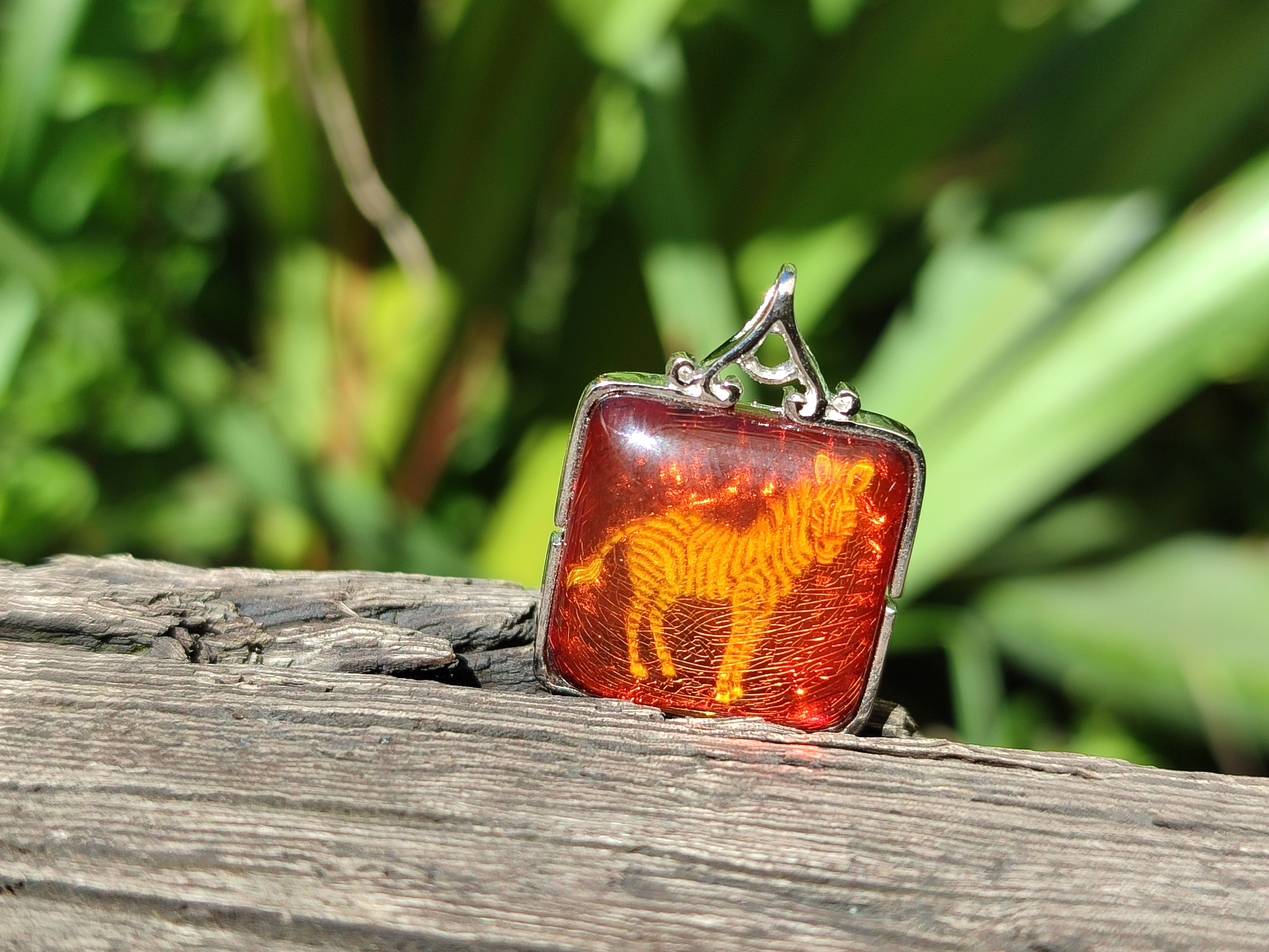 Polished Mixed Baltic Amber Pendants on Sterling Silver x 4 From Poland - Toprock Gemstones and Minerals 