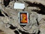 Polished Mixed Baltic Amber Pendants on Sterling Silver x 3 From Poland - Toprock Gemstones and Minerals 