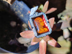 Polished Mixed Baltic Amber Pendants on Sterling Silver x 3 From Poland - Toprock Gemstones and Minerals 