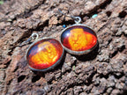 Polished Mixed Baltic Amber Earring and Pendant Sets on Sterling Silver x 7 From Poland - Toprock Gemstones and Minerals 