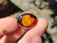 Polished Mixed Baltic Amber Earring and Pendant Sets on Sterling Silver x 7 From Poland