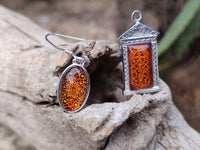 Polished Mixed Baltic Amber Earring and Pendant Sets on Sterling Silver x 7 From Poland