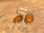 Polished Mixed Baltic Amber Earring and Pendant Sets on Sterling Silver x 7 From Poland - Toprock Gemstones and Minerals 