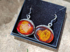 Polished Mixed Baltic Amber Earring and Pendant Sets on Sterling Silver x 7 From Poland - Toprock Gemstones and Minerals 
