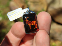 Polished Mixed Baltic Amber Pendants on Sterling Silver x 5 From Poland - Toprock Gemstones and Minerals 