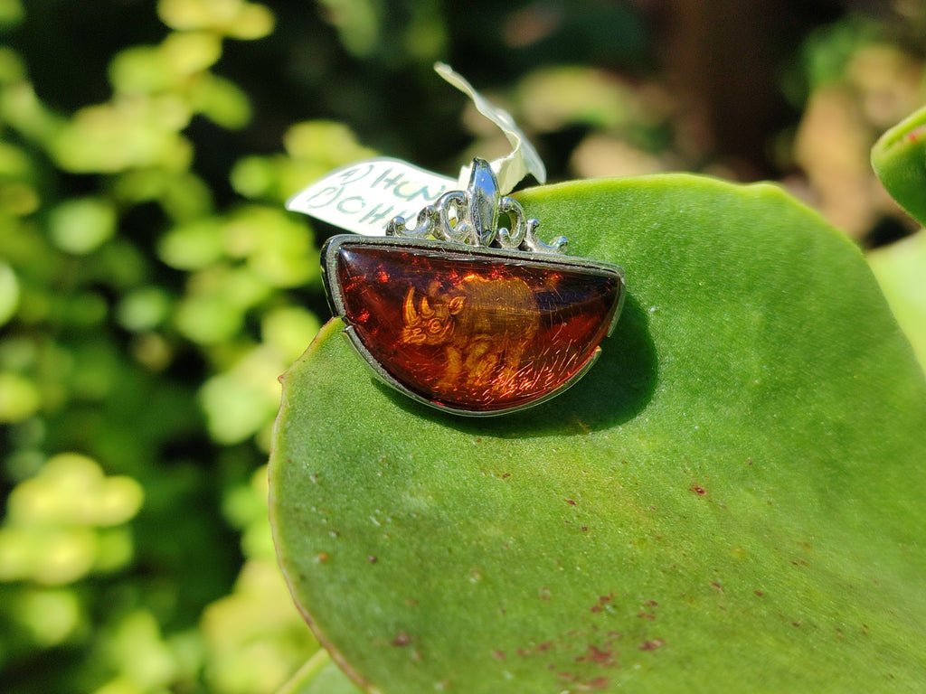 Polished Mixed Baltic Amber Pendants on Sterling Silver x 5 From Poland - Toprock Gemstones and Minerals 