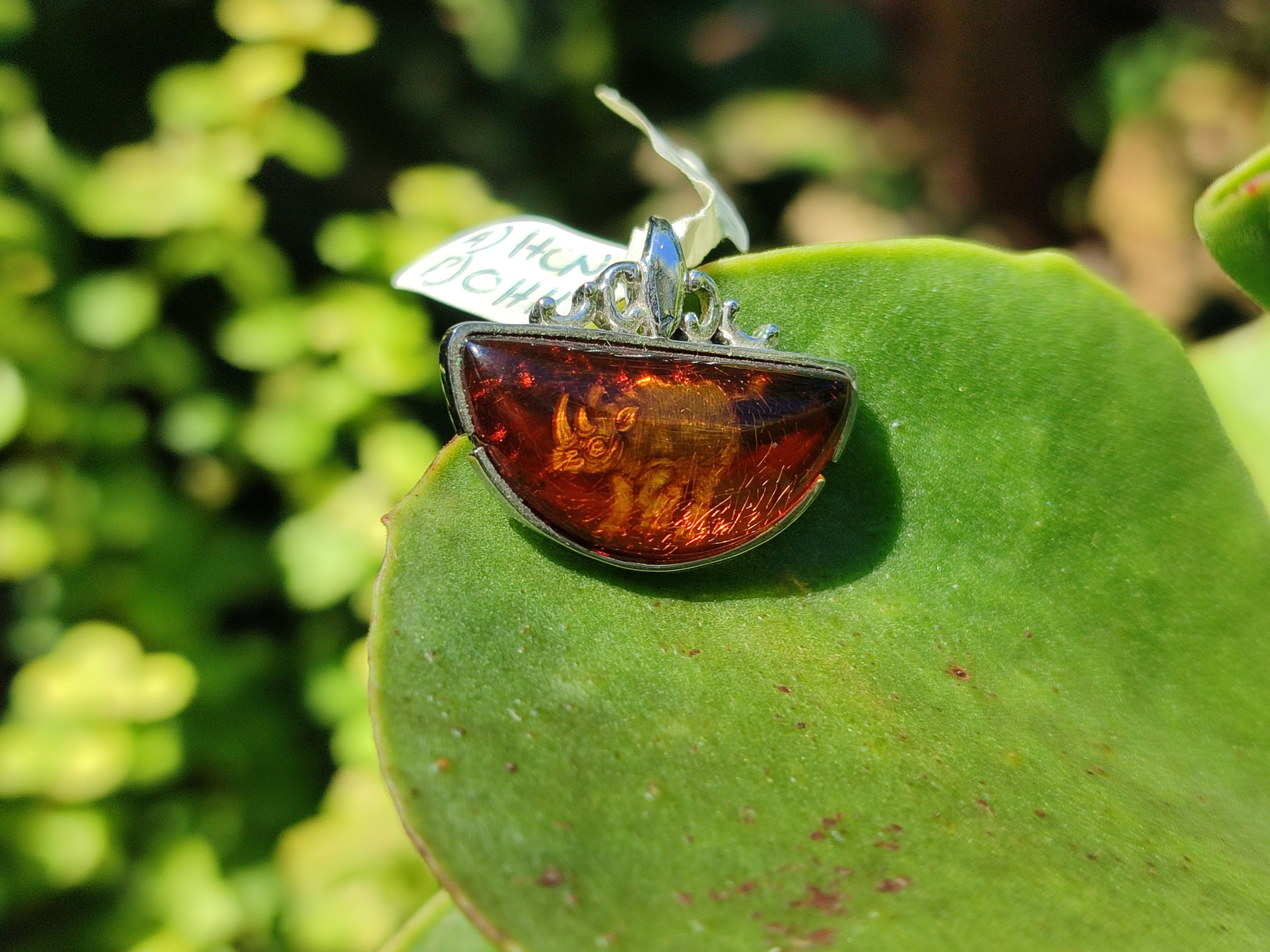 Polished Mixed Baltic Amber Pendants on Sterling Silver x 5 From Poland - Toprock Gemstones and Minerals 