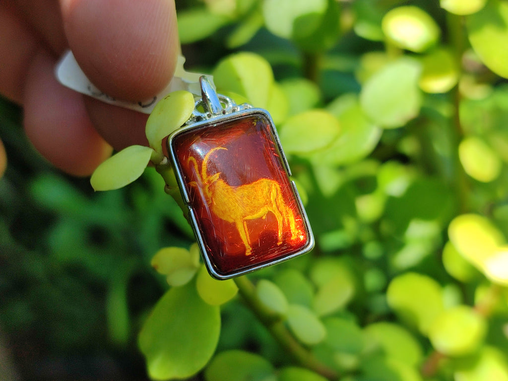 Polished Mixed Baltic Amber Pendants on Sterling Silver x 5 From Poland - Toprock Gemstones and Minerals 