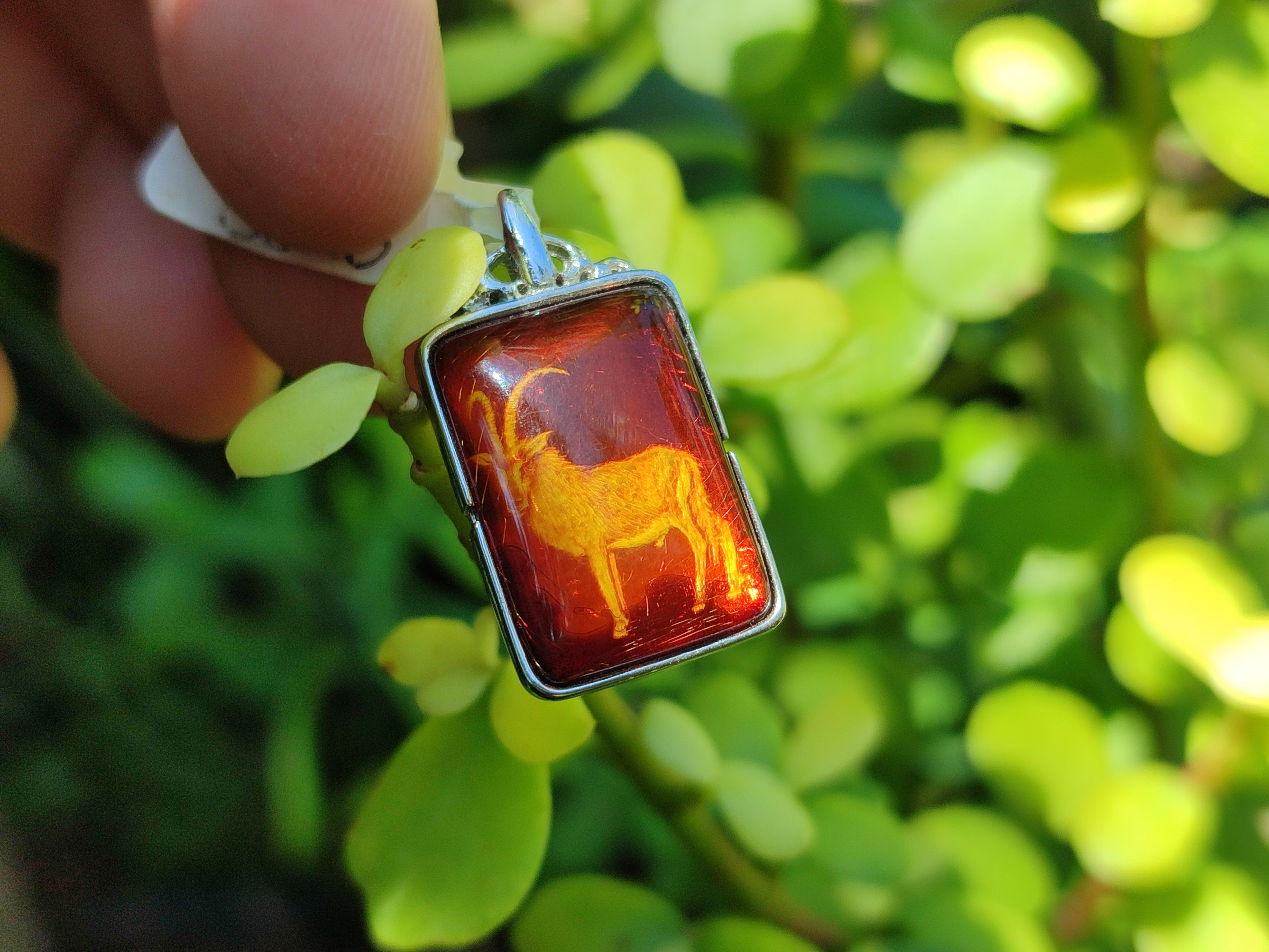 Polished Mixed Baltic Amber Pendants on Sterling Silver x 5 From Poland - Toprock Gemstones and Minerals 