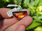 Polished Mixed Baltic Amber Pendants on Sterling Silver x 5 From Poland - Toprock Gemstones and Minerals 