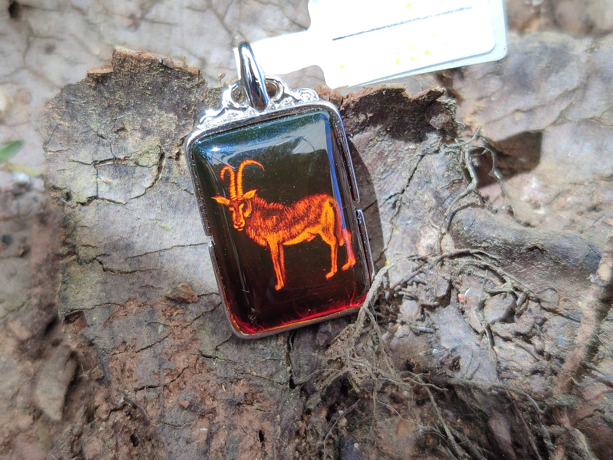 Polished Mixed Baltic Amber Pendants on Sterling Silver x 5 From Poland - Toprock Gemstones and Minerals 