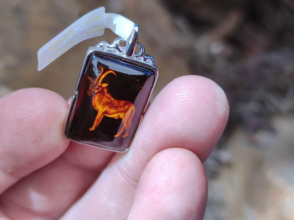 Polished Mixed Baltic Amber Pendants on Sterling Silver x 5 From Poland - Toprock Gemstones and Minerals 