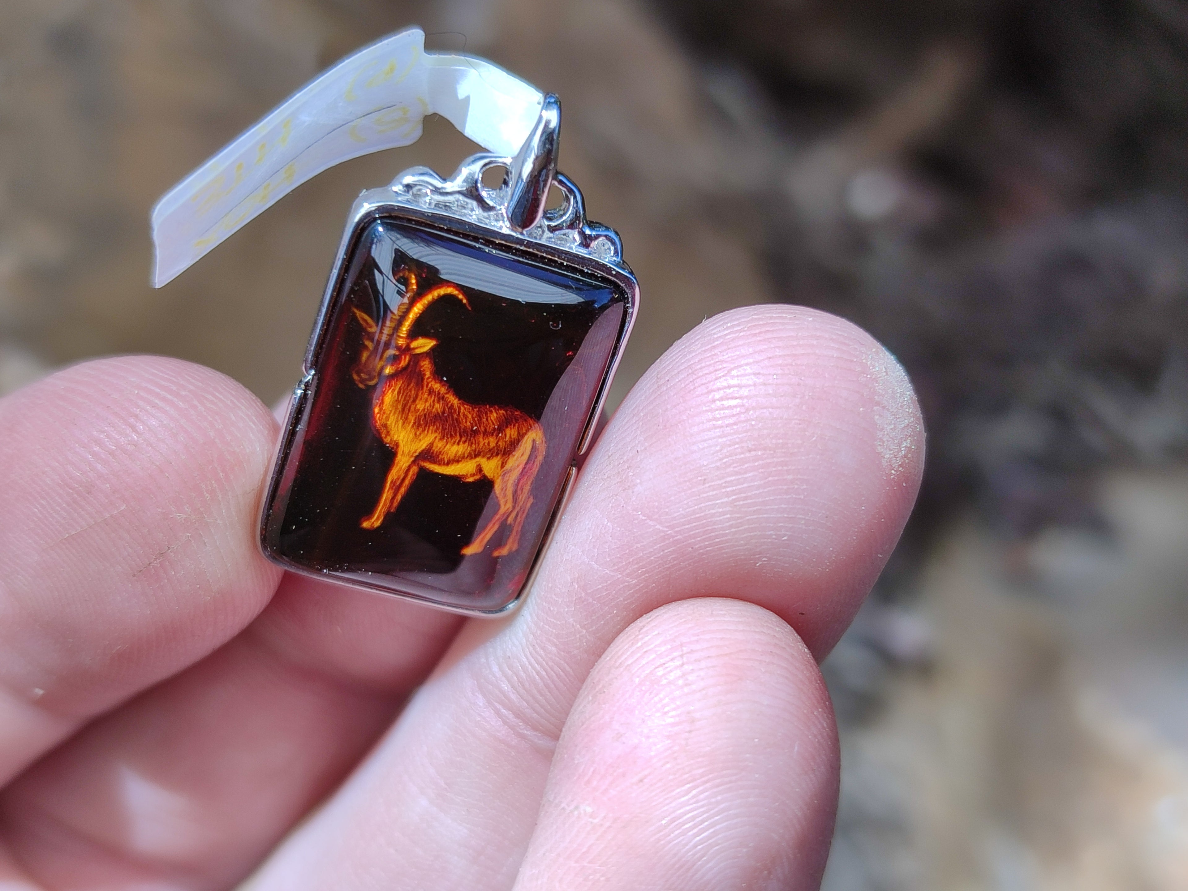 Polished Mixed Baltic Amber Pendants on Sterling Silver x 5 From Poland - Toprock Gemstones and Minerals 