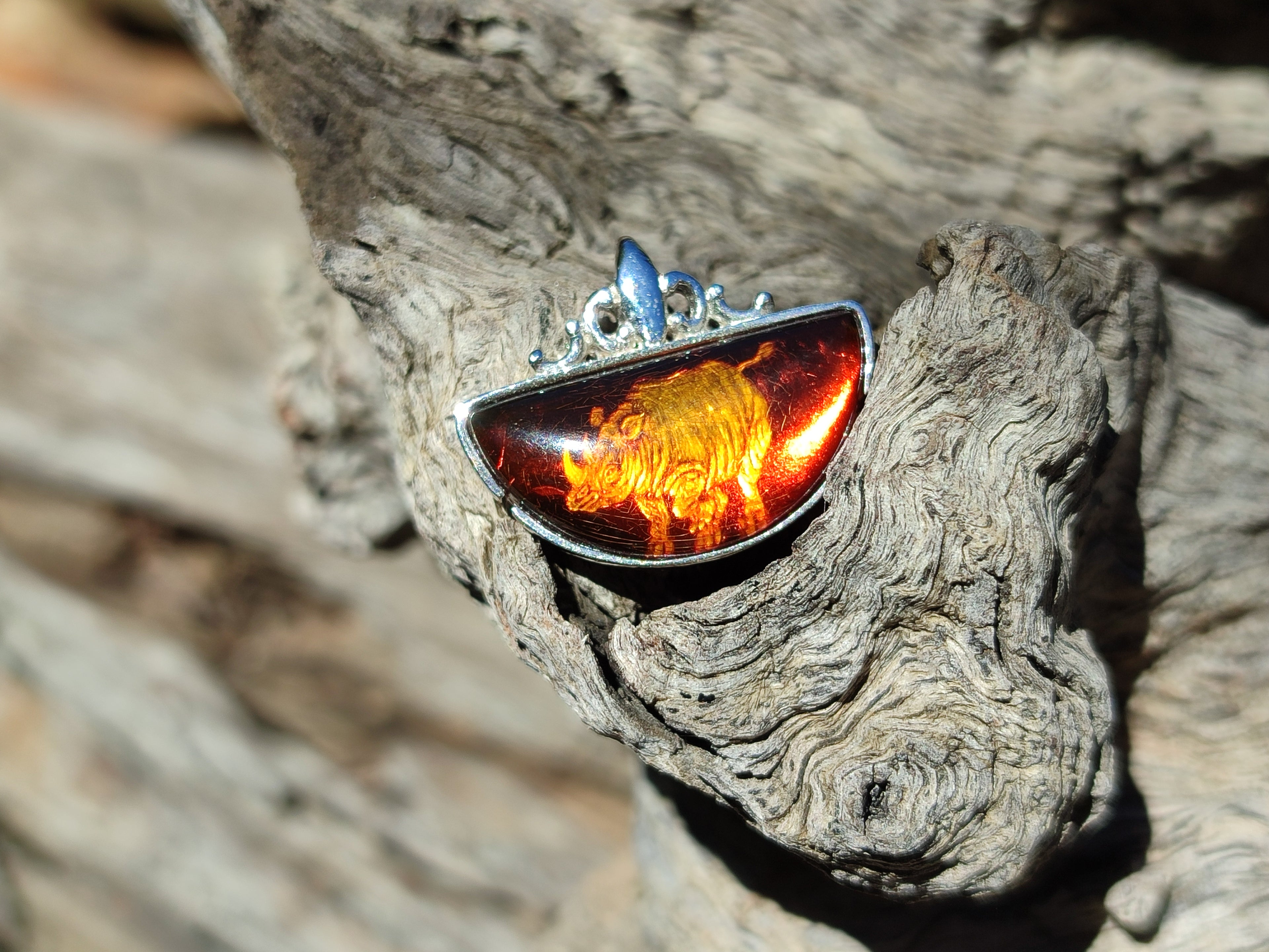 Polished Mixed Baltic Amber Pendants on Sterling Silver x 5 From Poland - Toprock Gemstones and Minerals 