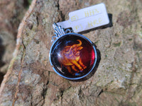 Polished Baltic Amber Buffalo Pendants on Sterling Silver x 4 From Poland