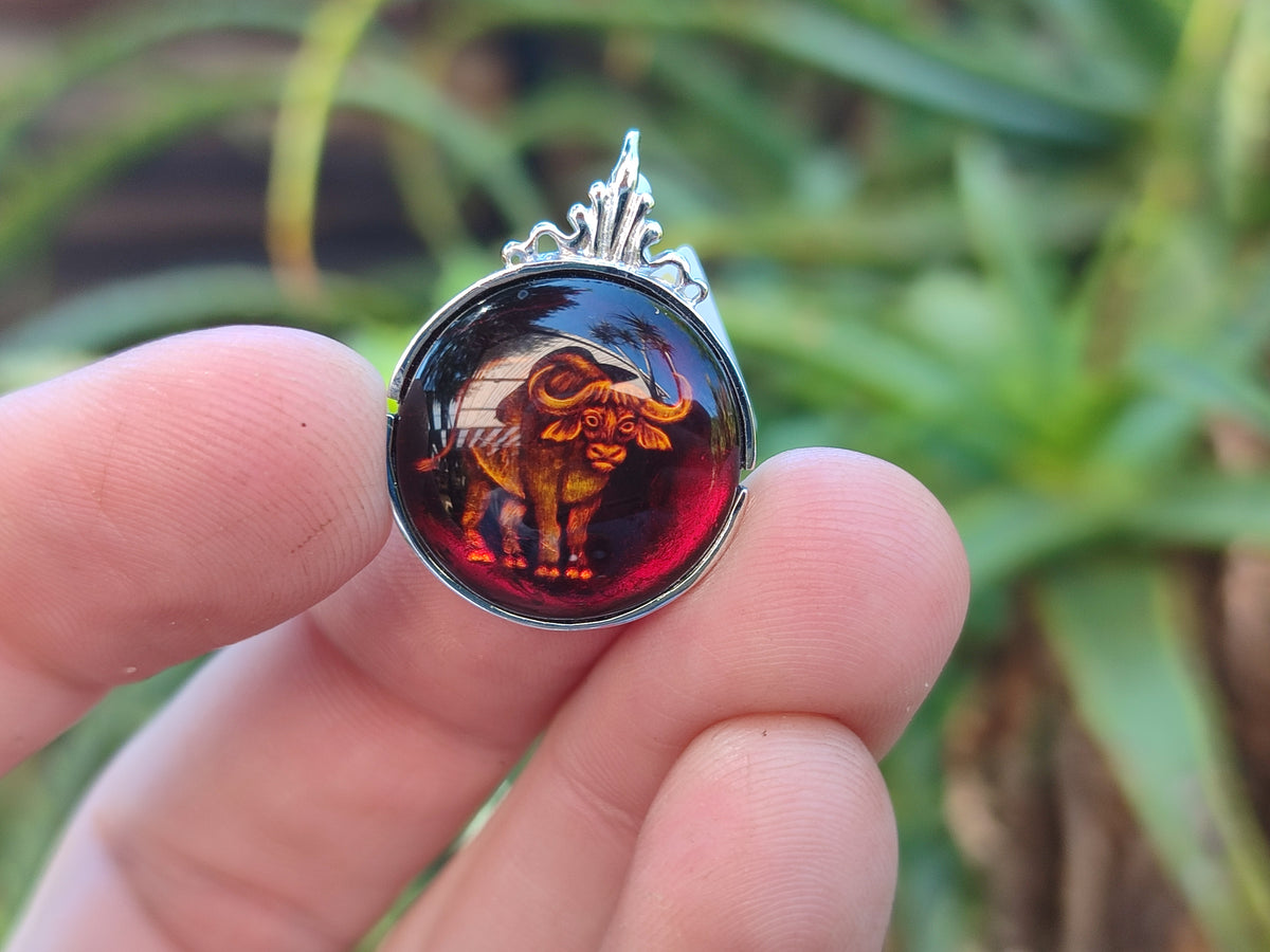 Polished Baltic Amber Buffalo Pendants on Sterling Silver x 4 From Poland - Toprock Gemstones and Minerals 