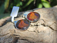 Polished Baltic Amber Buffalo Pendants on Sterling Silver x 4 From Poland