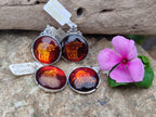 Polished Baltic Amber Buffalo Pendants on Sterling Silver x 4 From Poland - Toprock Gemstones and Minerals 