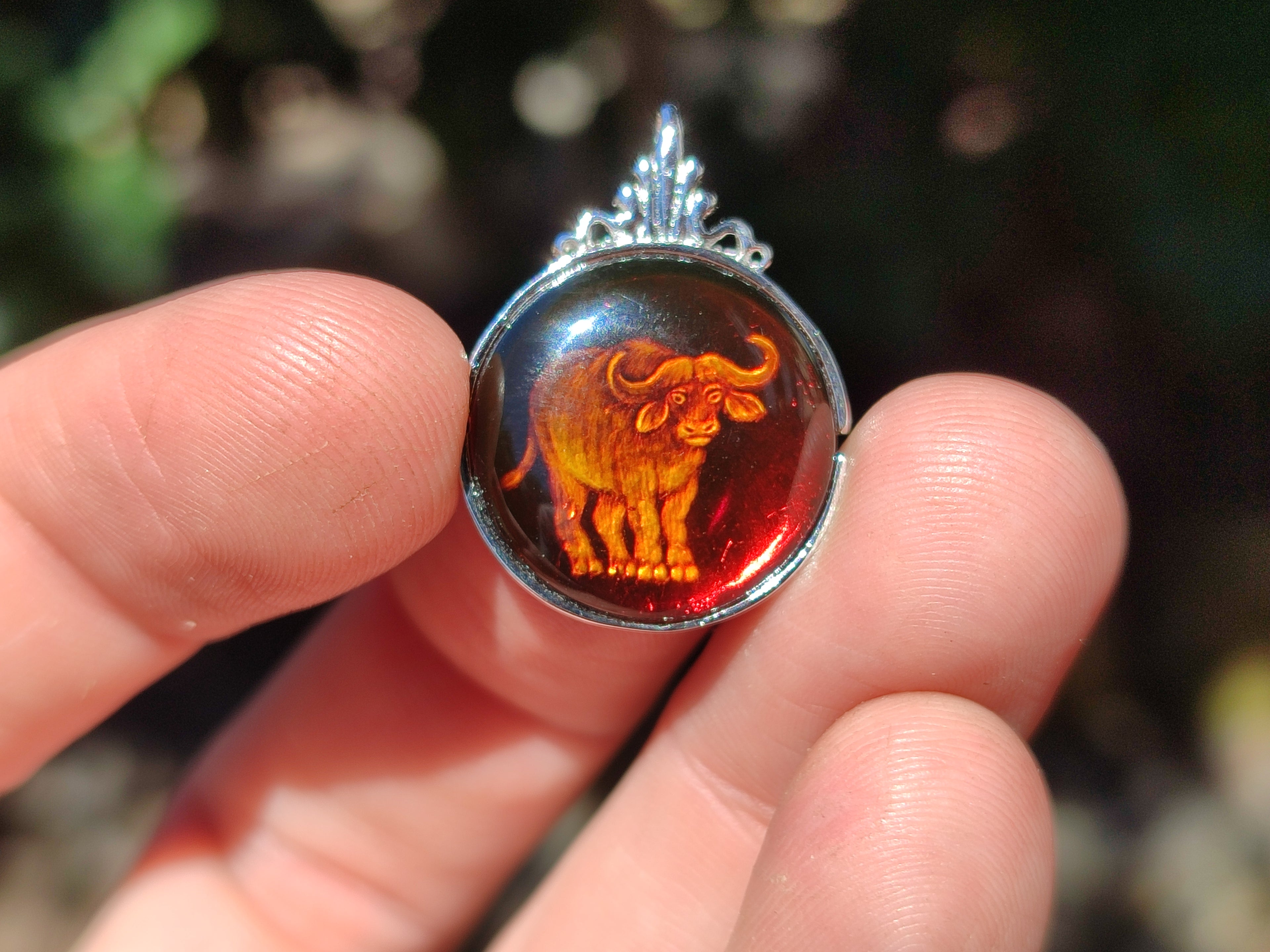 Polished Baltic Amber Buffalo Pendants on Sterling Silver x 4 From Poland - Toprock Gemstones and Minerals 