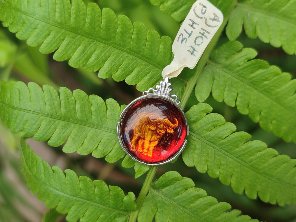 Polished Baltic Amber Buffalo Pendants on Sterling Silver x 4 From Poland - Toprock Gemstones and Minerals 