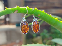 Polished Mixed Baltic Amber Earring and Pendant Sets on Sterling Silver x 3 Sets From Poland