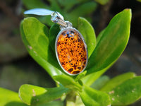 Polished Mixed Baltic Amber Earring and Pendant Sets on Sterling Silver x 3 Sets From Poland
