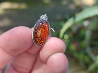Polished Mixed Baltic Amber Earring and Pendant Sets on Sterling Silver x 3 Sets From Poland