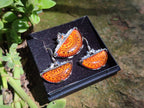 Polished Mixed Baltic Amber Earring and Pendant Sets on Sterling Silver x 2 Sets From Poland - Toprock Gemstones and Minerals 
