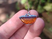 Polished Mixed Baltic Amber Earring and Pendant Sets on Sterling Silver x 2 Sets From Poland