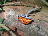 Polished Mixed Baltic Amber Earring and Pendant Sets on Sterling Silver x 2 Sets From Poland