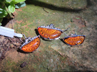 Polished Mixed Baltic Amber Earring and Pendant Sets on Sterling Silver x 2 Sets From Poland