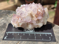 Natural Dark Amethyst Spirit Quartz Clusters x 6 From Boekenhouthoek, South Africa - Toprock Gemstones and Minerals 