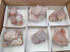 Natural Dark Amethyst Spirit Quartz Clusters x 6 From Boekenhouthoek, South Africa - Toprock Gemstones and Minerals 